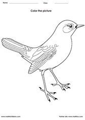 Coloring bird activitiy for kids. PDF printable coloring worksheet